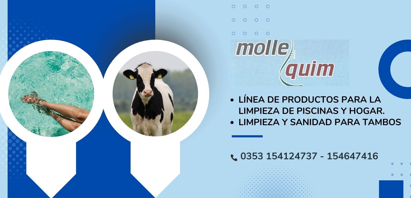 2020-06-01 11:15:00 Molle Quim